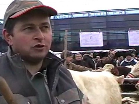 HAUTE-SAONE : VESOUL FETE SAINTE-CATHERINE