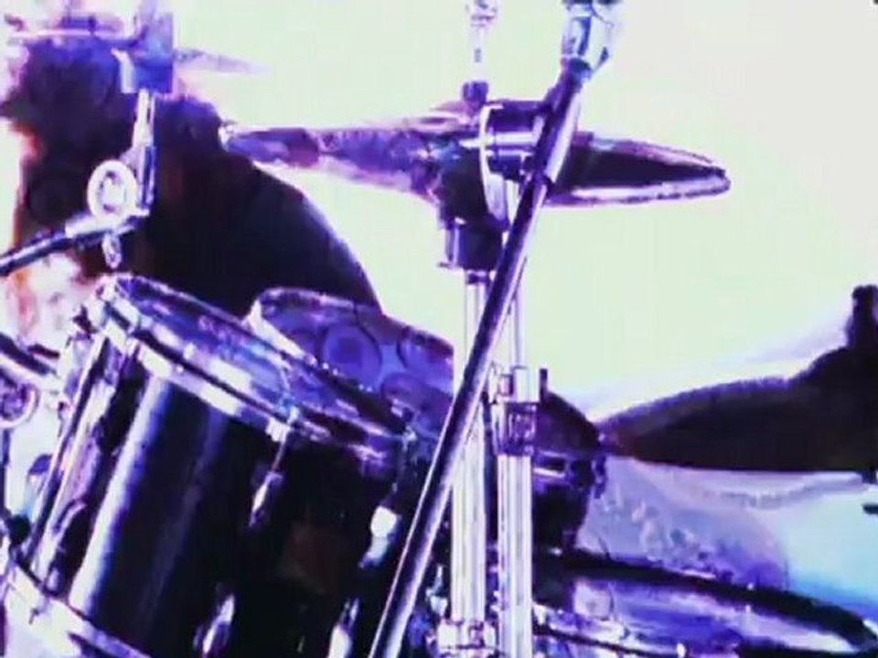 Nightmare - Swallowtail