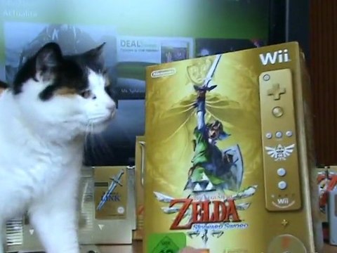 Unboxing Zelda Skyward Sword