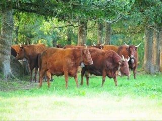 Les nouvelles technologies chez ALTITUDE