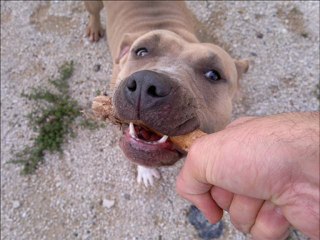 FUNK RIGOLO DU 84 MIX PLUS EXTRAIT FILM