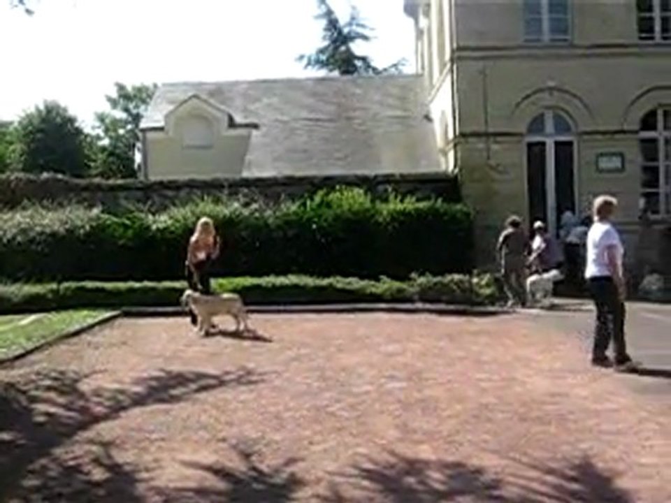 Centenaire Roiffé Guiness classe baby femelle 1