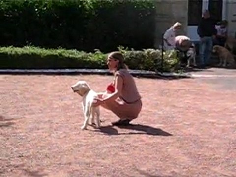 Centenaire Roiffé Guiness classe baby femelle 2