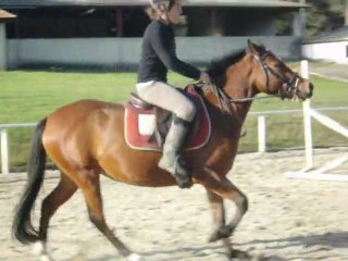 ULTIME DE L'HOSTE - Novembre 2011