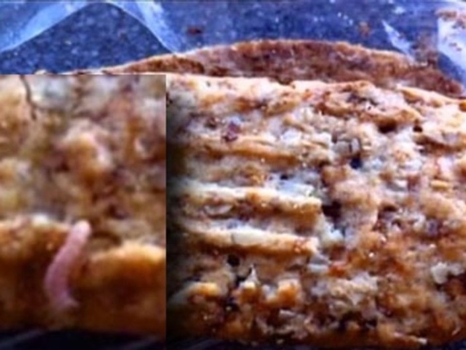 Des asticots dans ses gateaux