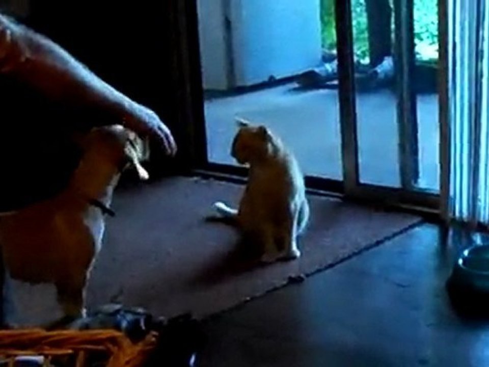 Nanna wants to play with Rascall