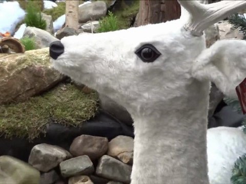 IDYLLIC WINTER FOREST - The Beauty of Nature
