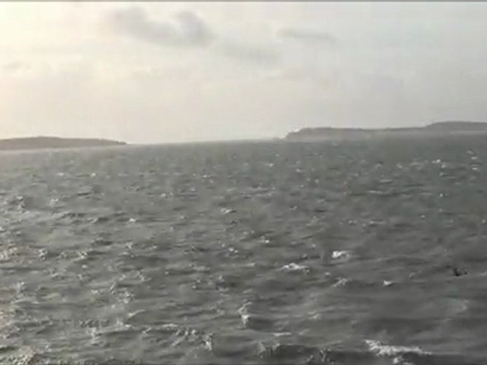 Saltee Islands