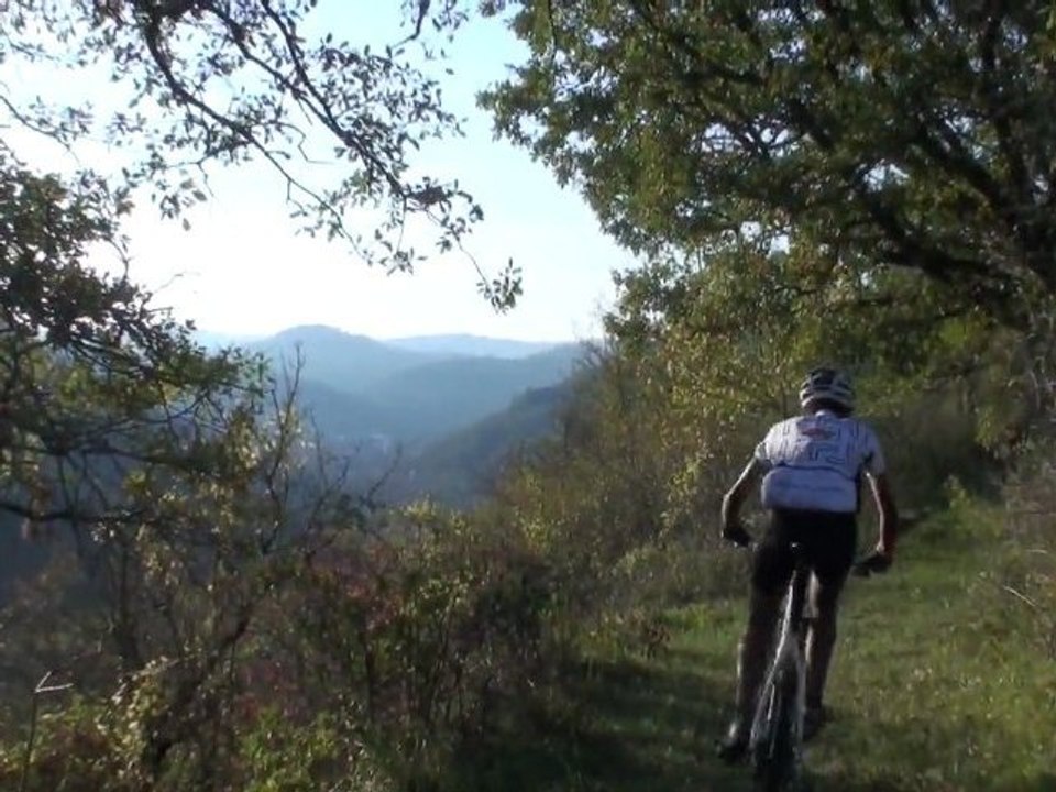 Sortie vtt du 11/11/11.