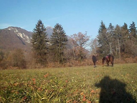 Pone'ch travail à pied.