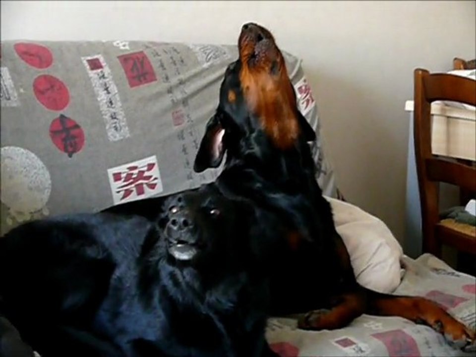 cayenne et tina