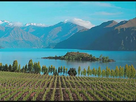 Friendly Motel Accommodation in Wanaka Bella Vista Motel Wanaka NZ