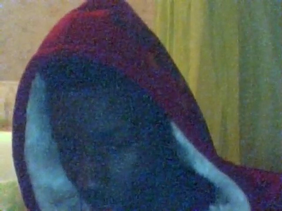 Video 5