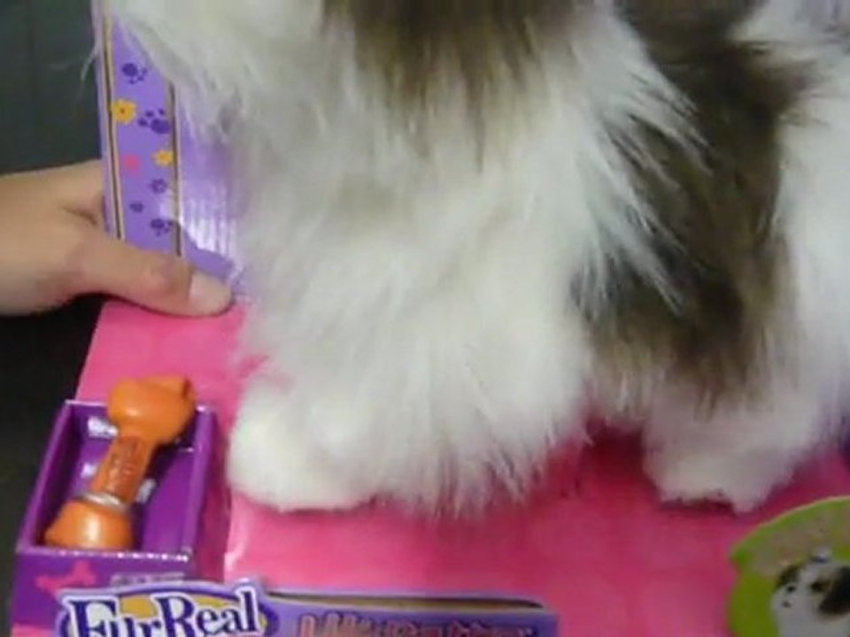 perrito camina fur real hasbro www.jugueteria-valsof.com.ar
