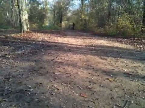 Rustler Rusty Aureli1 4S Mamba Max Pro - Leopard 3900kv 4 pole OK