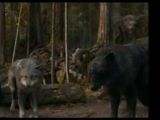 The Twilight Saga: Breaking Dawn Part 1 : Makeup Look