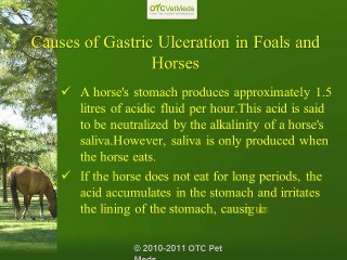 Clinical Syndromes of Gastric Ulceration in Foals and Horses