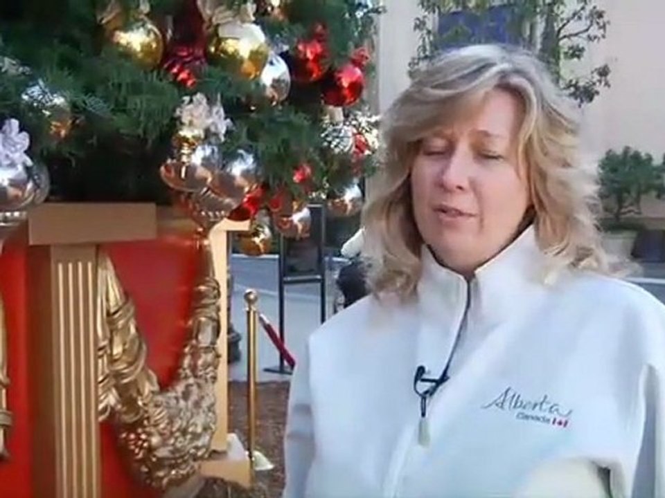 Snowball Fun at The Grove