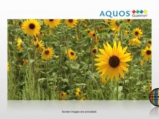 Black Friday Sharp LC40LE830U Quattron 40-inch 1080p 120 Hz