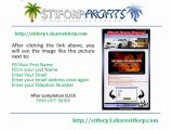 How to Join Stiforp Profits-Stiforp1.stiforppro.com