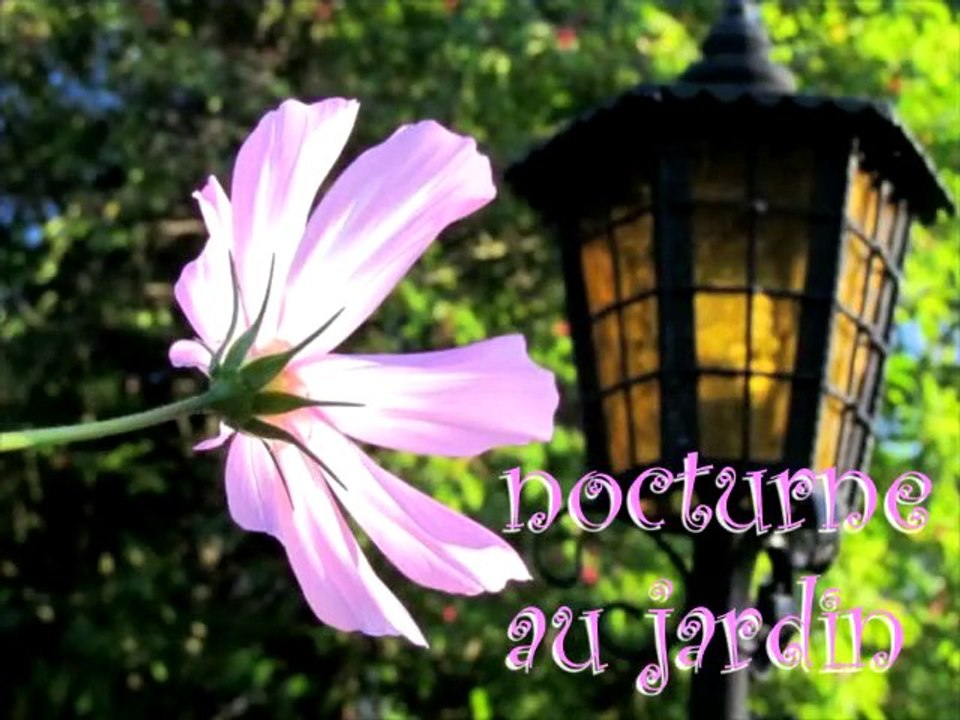 Nocturne au jardin