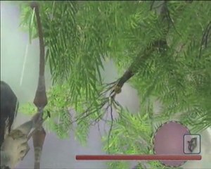 Shadow of the colossus BONUS