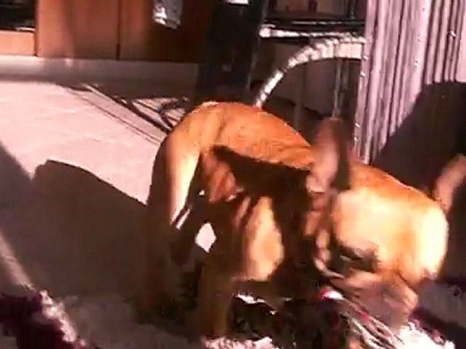 CARLITA DE TATSIENLOU - November, 25 2011