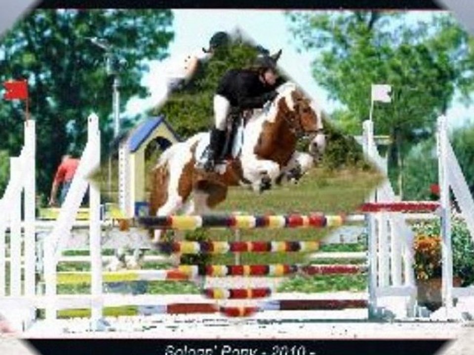 Avoir un poney ...