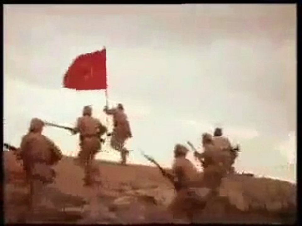 UlkuGulu.com Kurtları bağlamışlar köpekler serbest