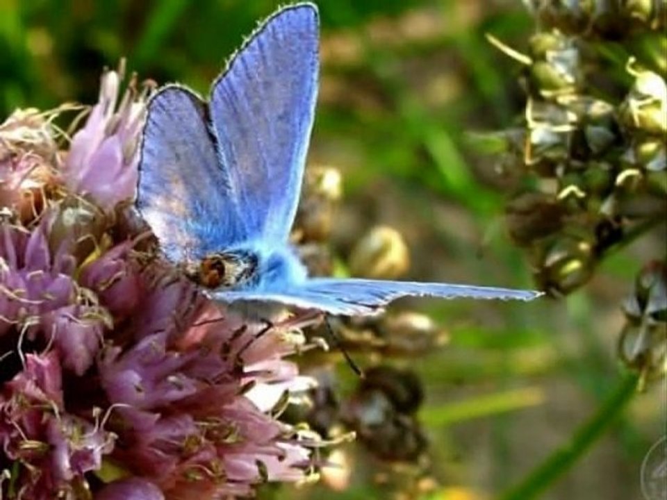 Każdą chwilę w życiu łap