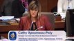 Intervention Cathy Apourceau-Poly subvention supplementaire apprentissage 14-11-11