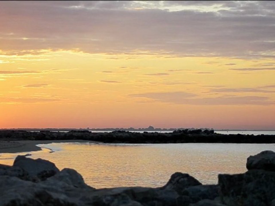 Libertivi.com - Sur les planches - Daylight on Nature