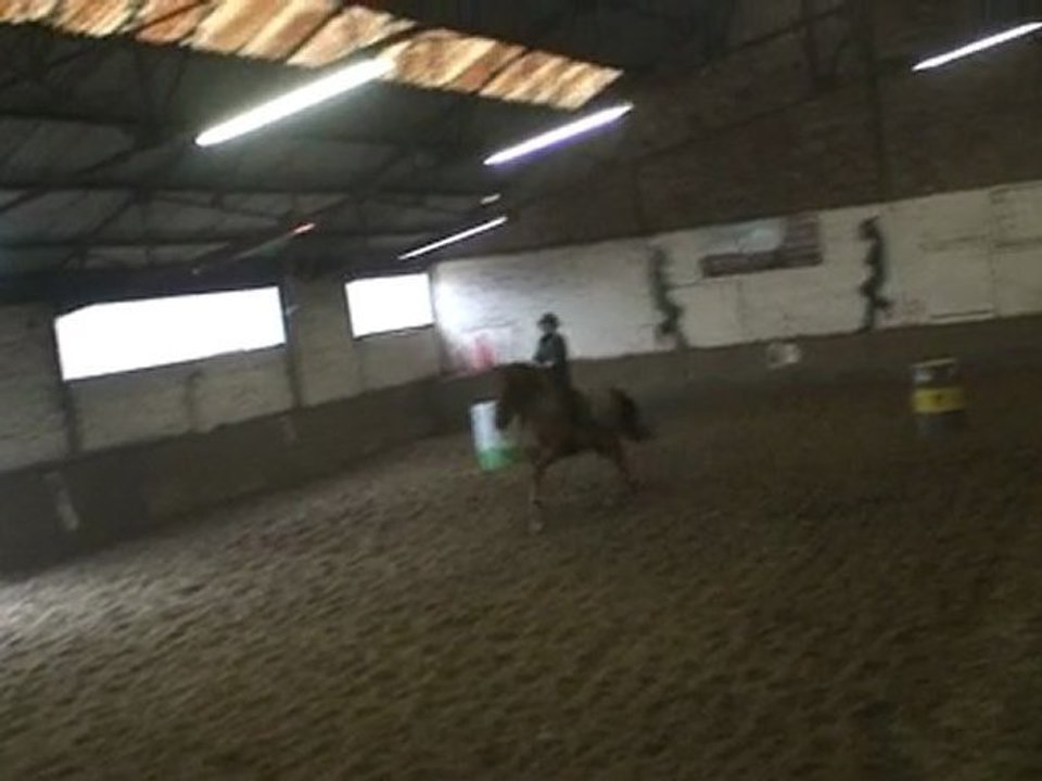 le 6-11-2011 jeux après la Saint-Hubert au manège El Cortijo