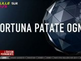 Fortuna , la patate OGM qui veut envahir l'Europe - Bientôt des patates OGM pour vos frites