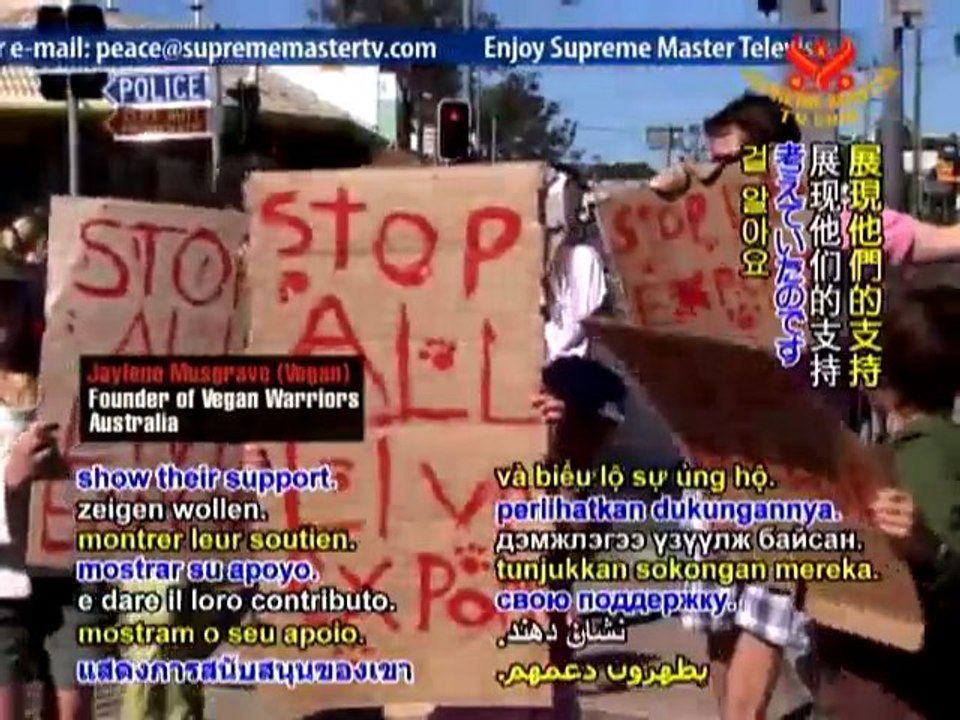 STOP ANIMAL CRUELTY Australia’s Live Animal Trade