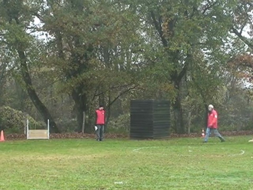Eclair, Concours d'obéissance en classe 1 du 26/11/2011