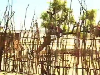 Le trajet Mangily - Tuléar en 4x4