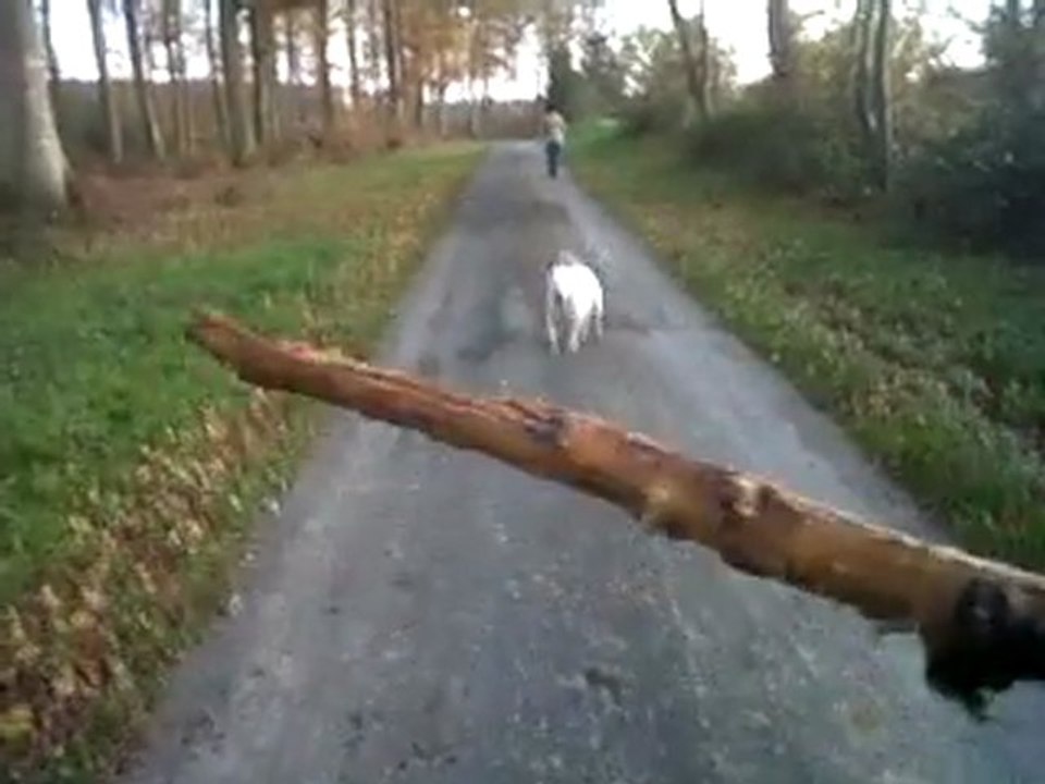 VID 00047-20111126-1658