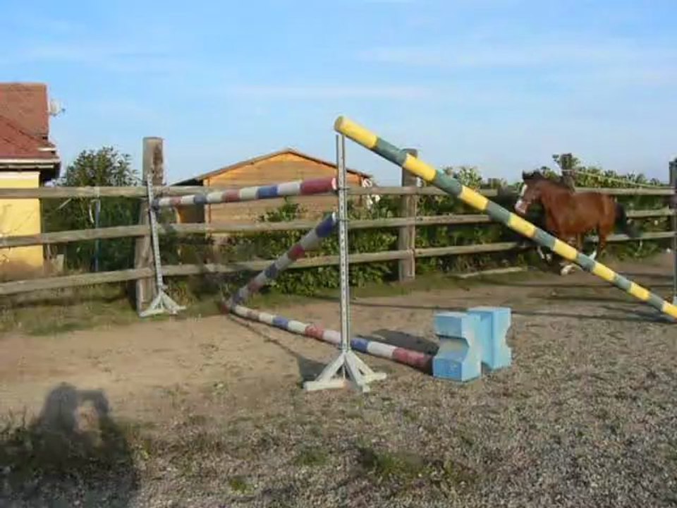 Rizou sur 1m30 en liberté