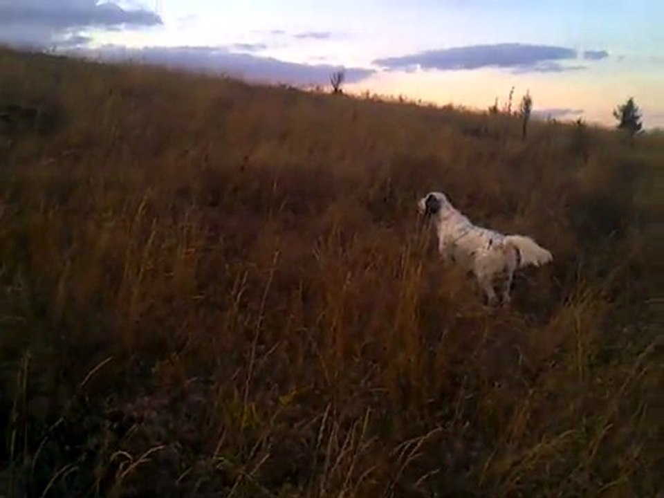 Video0008