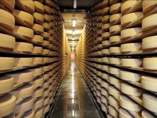 Gruyères)غرويير" حليب البقر