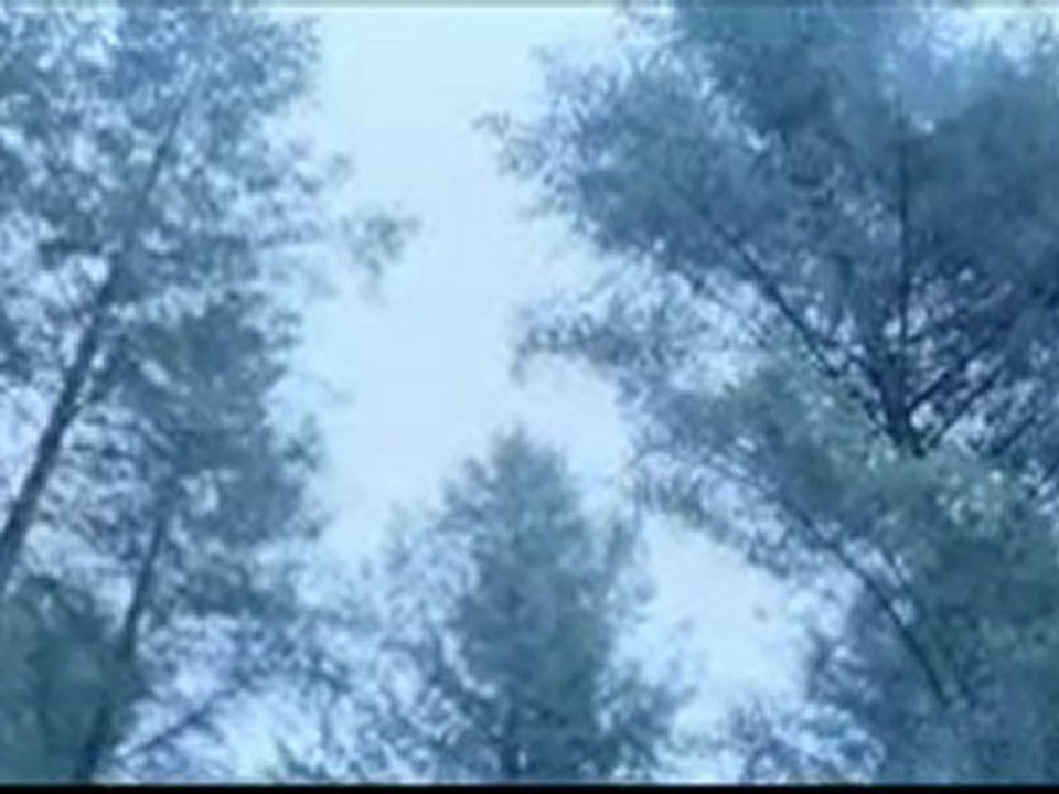 A Merry Hunt1