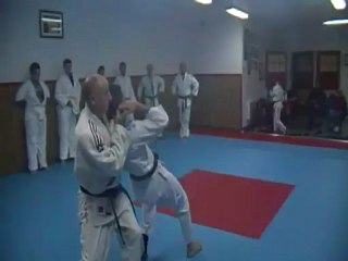 Jujitsu Rollin Philippe.