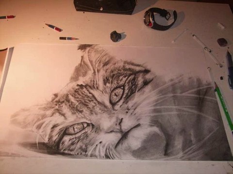 Portrait acrylique ,fusains ,aquarelles Alexis Chomel (prend toutes commandes )