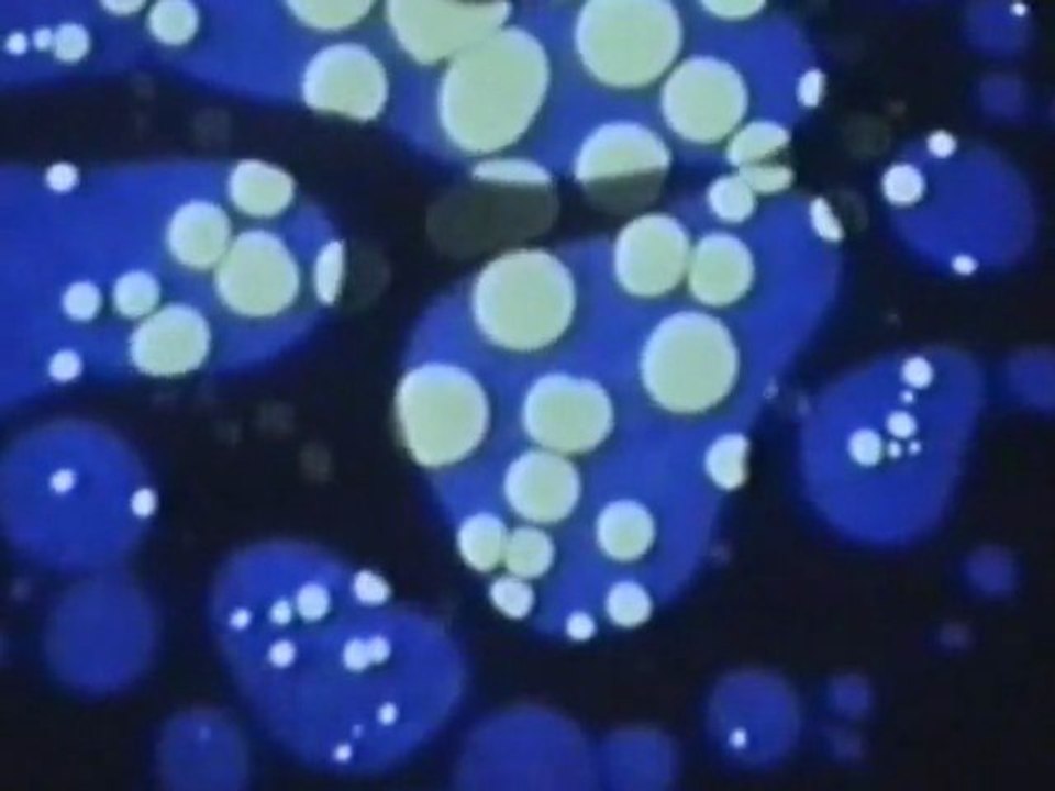 Hope for Happiness: Soft Machine