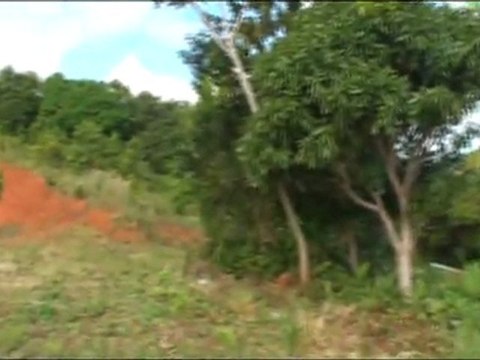 Ocean Mountain View Land Sale Ceiba Puerto Rico Terrenos Venta Vista Mar Montana