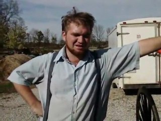 amish buggy accident