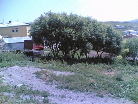 dengbejler ve ardahan hoçvan 2011 2012 @ MEHMET ALİ ARSLAN Videos