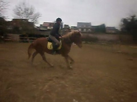 Cercle au galop Kaïzer