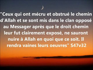 La défense du Prophète صلى الله عليه و سلم  ! Youssef Abou Anas